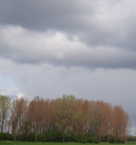 Donkere wolken